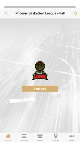 Game screenshot Phoenix Hoops hack