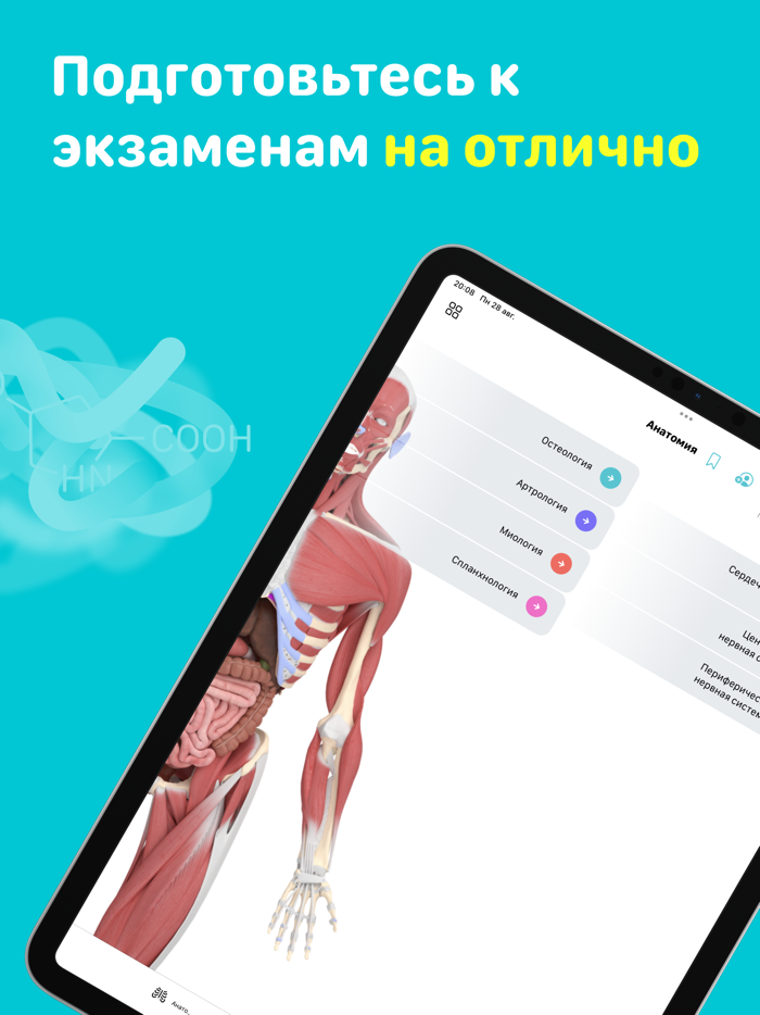 Учи Мед Учи Анат