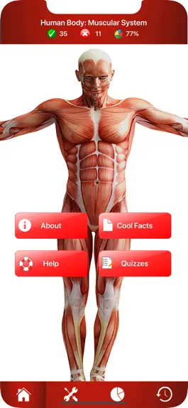 Game screenshot Human Muscular System Trivia mod apk