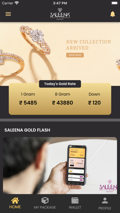 Saleena Gold Flash Screenshot