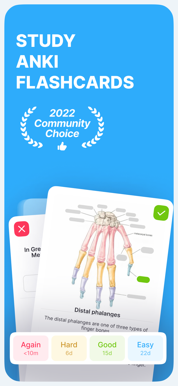 Anki Pro Flashcards Learning
