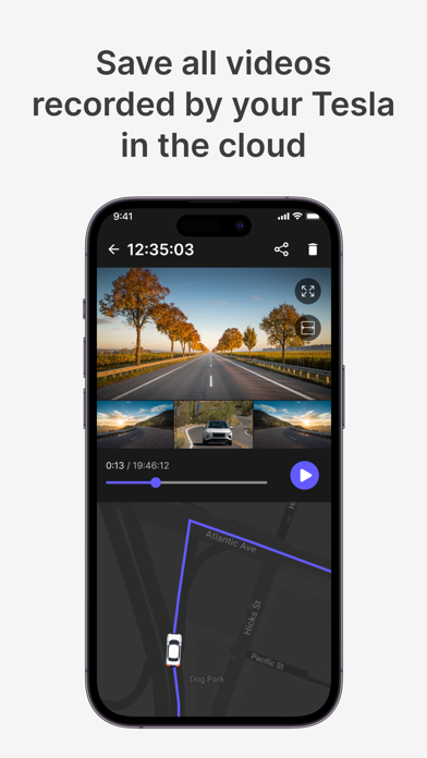 DashView - Companion App Screenshot