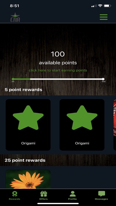 CNA Stores Screenshot