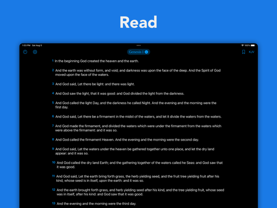 Screenshot #4 pour Another Bible App