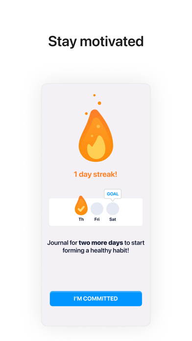 Vida Journal Screenshot