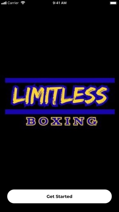 Limitless Boxing Screenshot