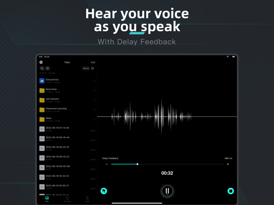 Voice Recorder, Audio Memos iPad screenshot 6 - Utilities app