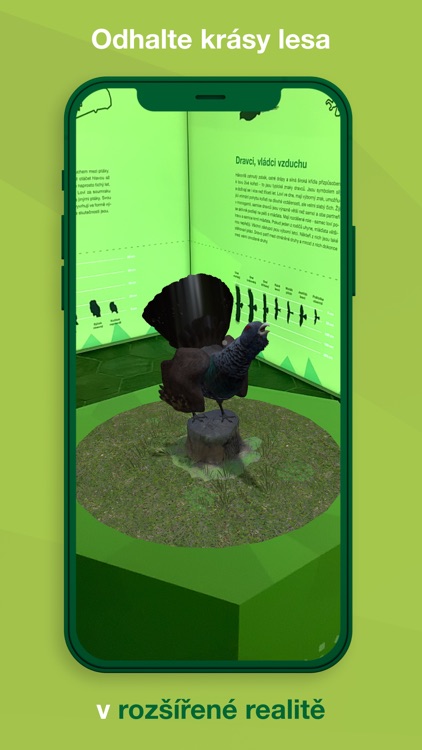 Muzeum v Bruntále AR