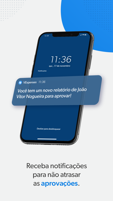 VExpenses - Gestão de Despesas Screenshot