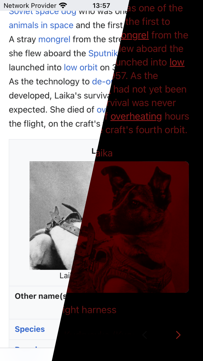 Midnight No-Blue-Light Reader