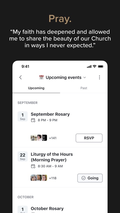 Word on Fire Institute