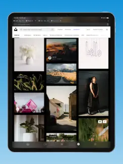 Sauf iPad image 3