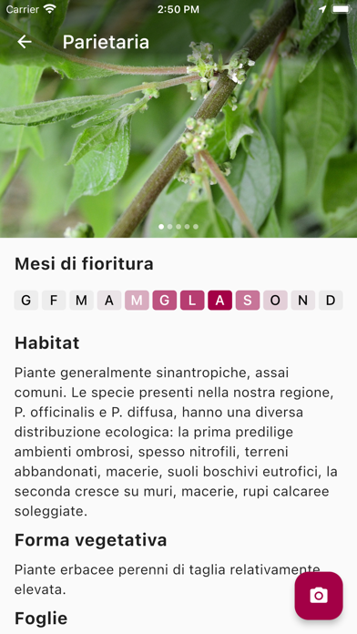 PolliniTrentino Screenshot