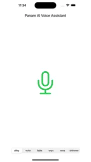 panam: ai voice assistant iphone screenshot 4