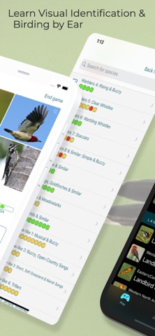 Learn Bird Watching—Larkwireのおすすめ画像2