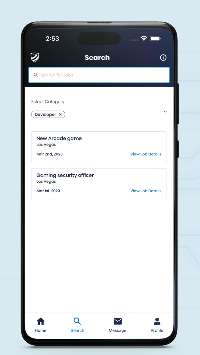 IPS Security Service Provider