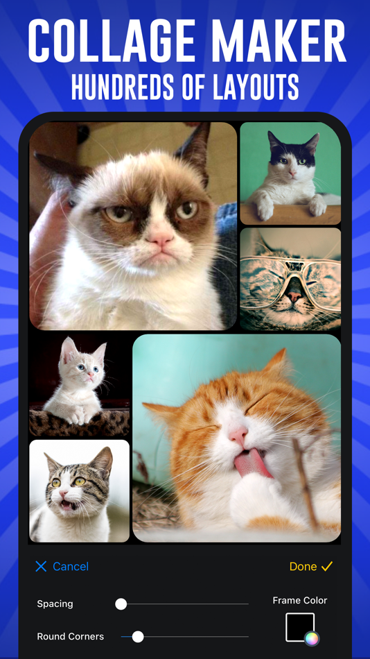 #8. Meme Maker Pro: Meme Editor (iOS) By: Digital Palette LLC