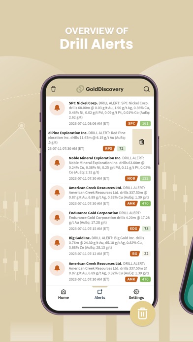 GoldDiscovery Screenshot