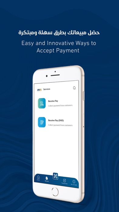 Mobile Money Business Screenshot