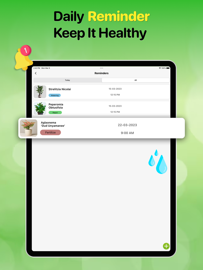 Plant Identifier And Care Tips