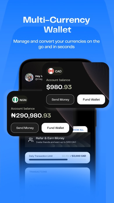 Pesa (Formerly Pesapeer) Screenshot