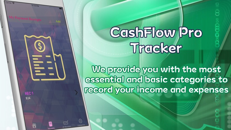 CashFlow Pro Tracker
