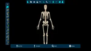 Vesalii Anatomy Student screenshot 2