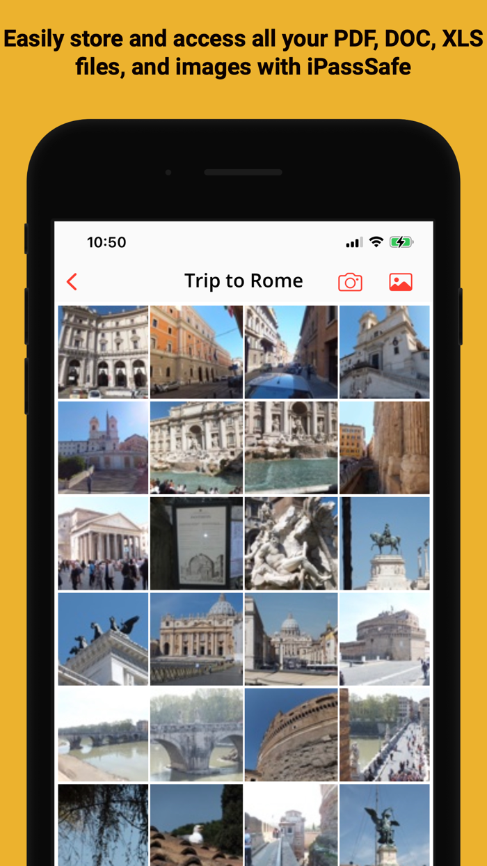 Password Safe - iPassSafe