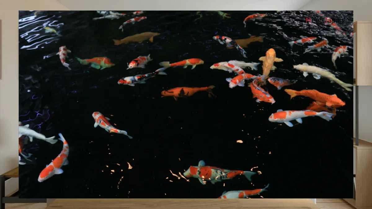 Meet Japan! screenshot 4