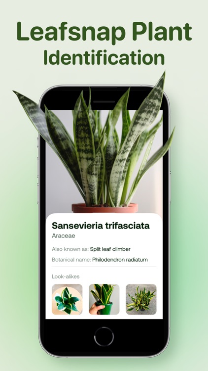 AI Plant Identifier - Plant ID screenshot-3