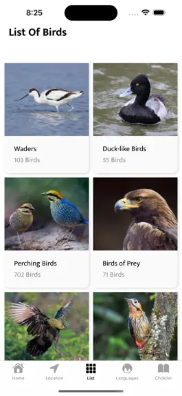 Game screenshot Indian Birds apk