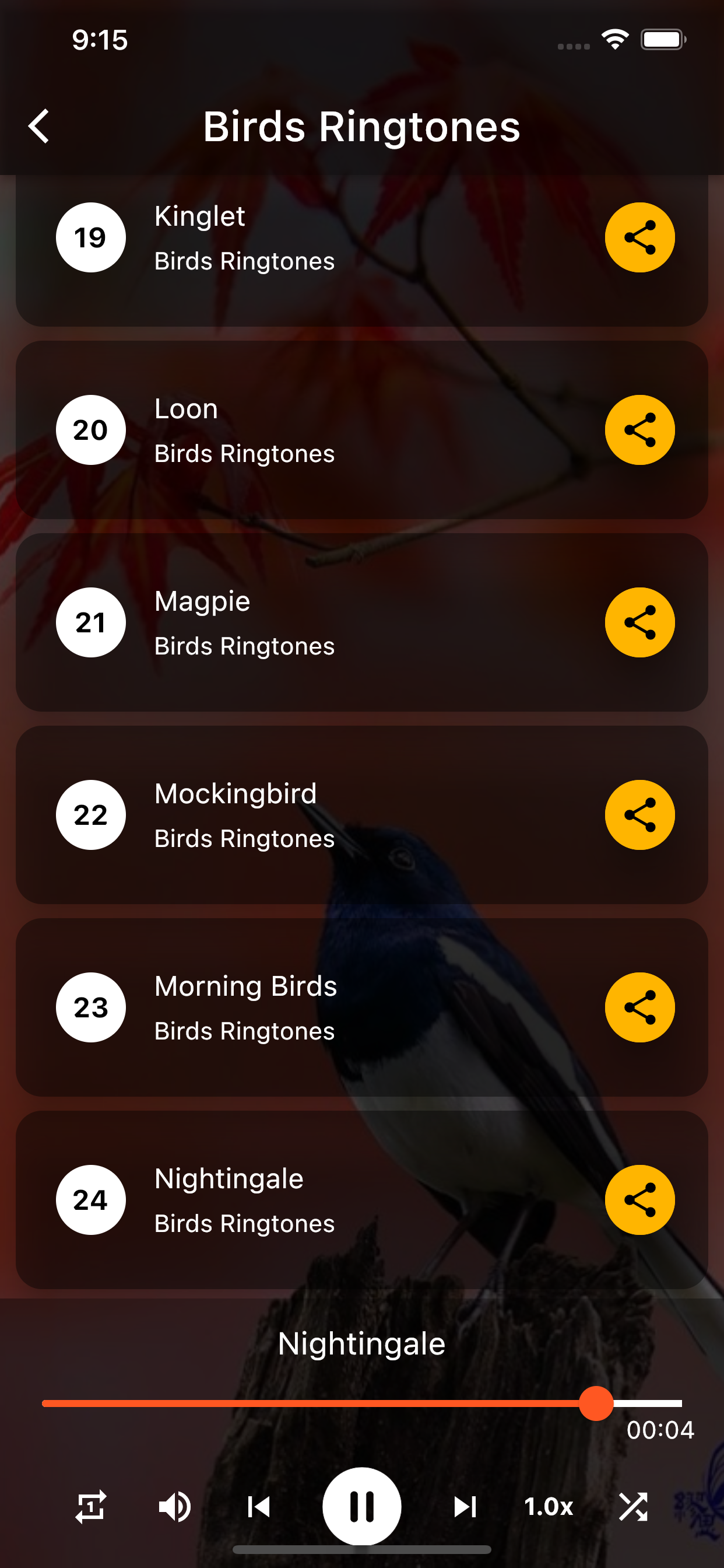 Birds Ringtones