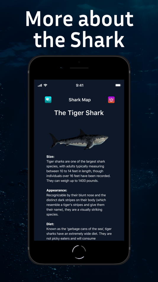 #4. Shark Tracker: Shark Finder (iOS) Podle: Ershat Ershatev