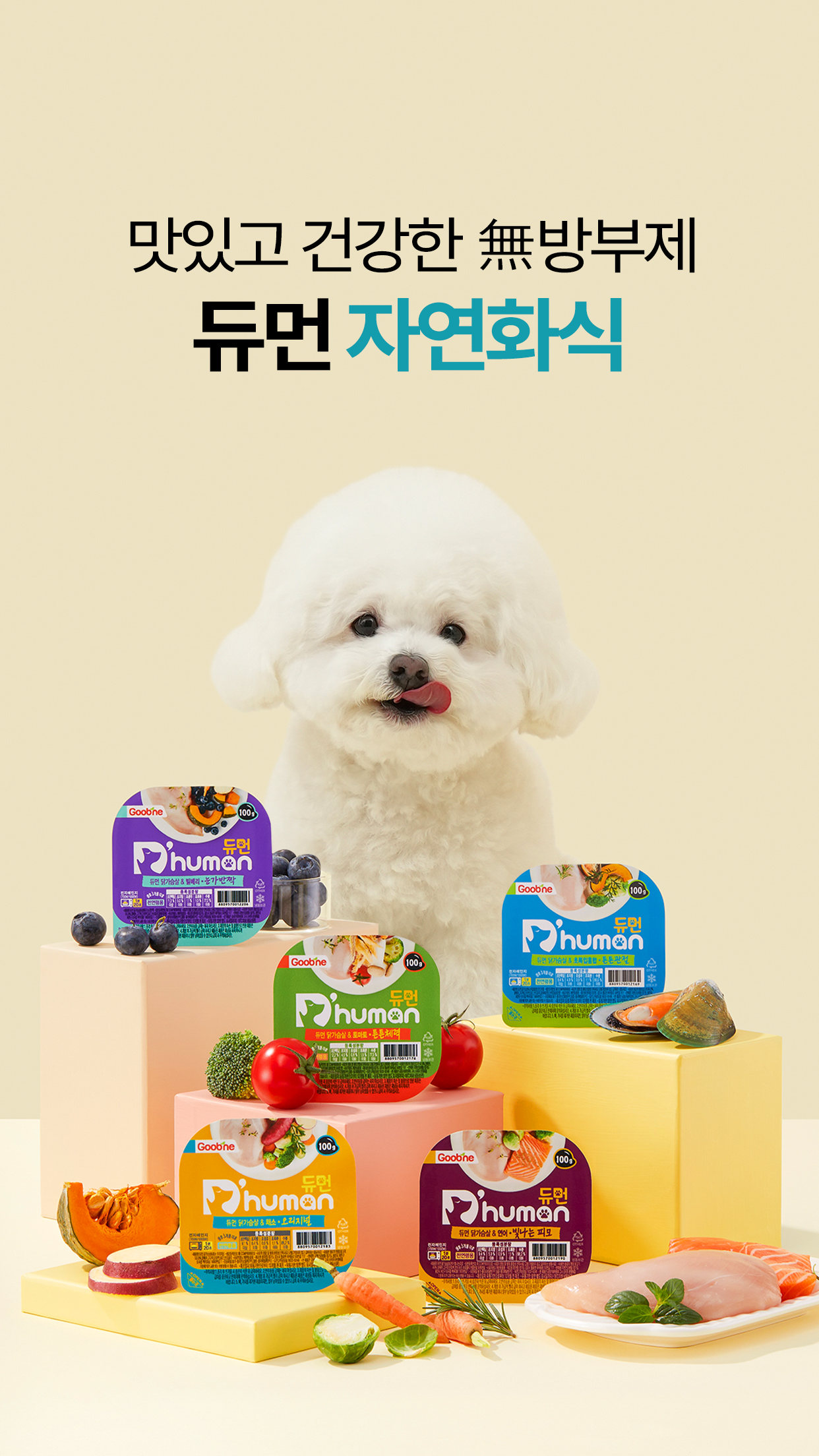 퀀터스 (Quantus)