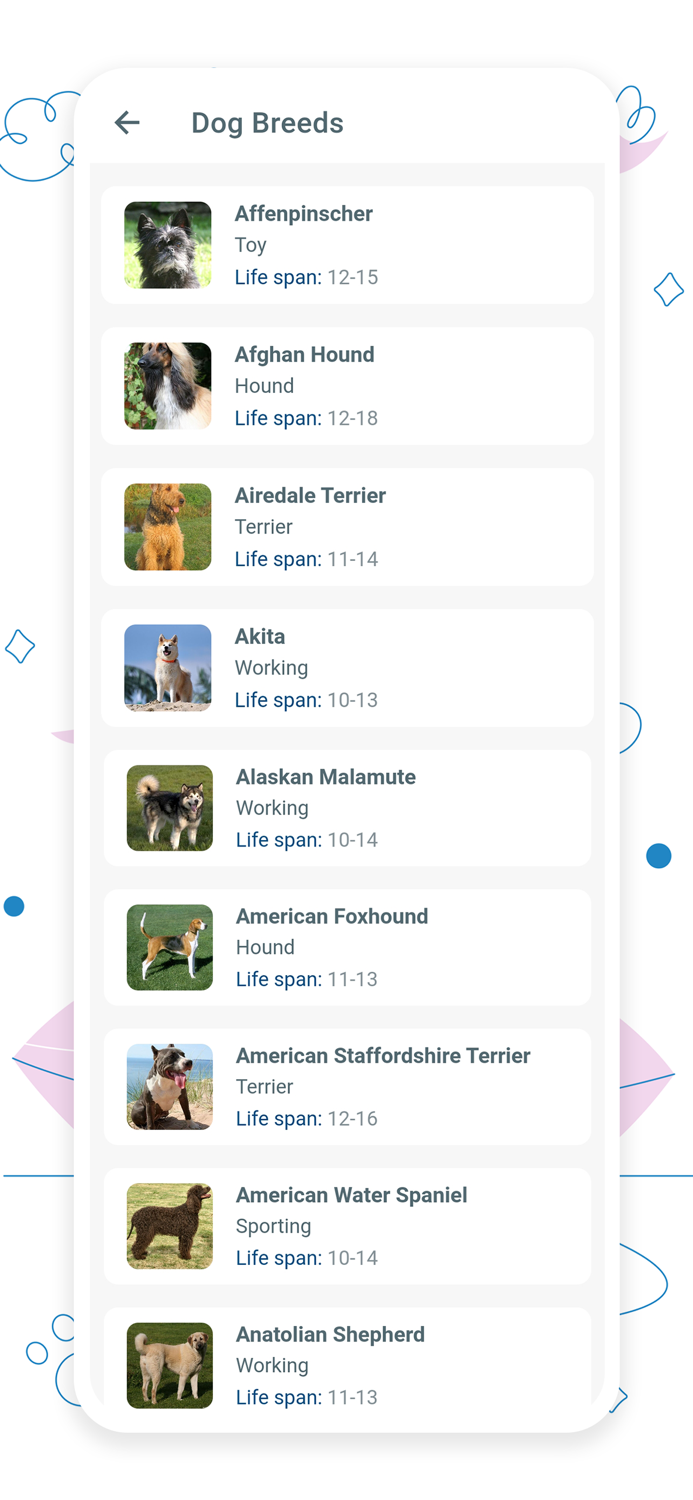 Pets Adoption - Adopt a Pet