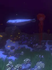 coral reef hd iPad Captures Décran 1
