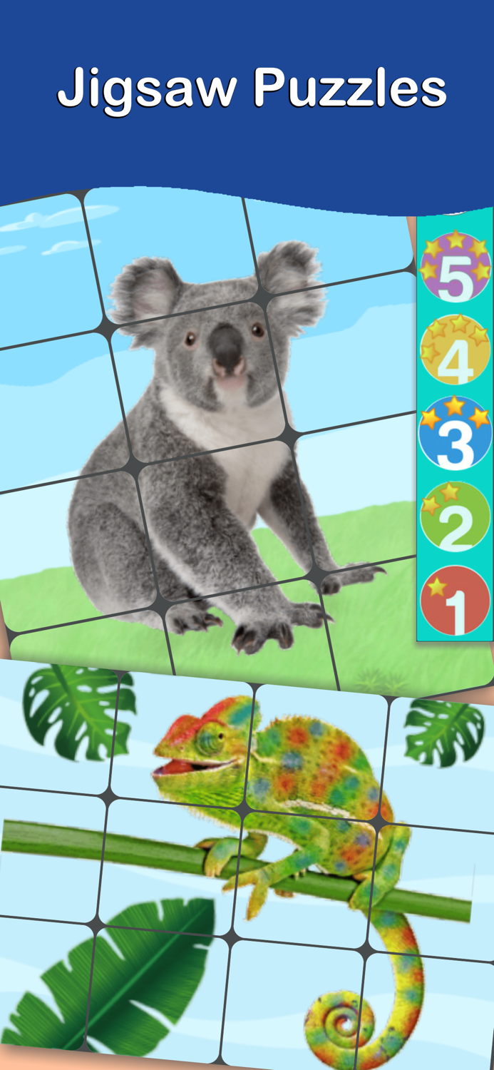 Animals Cards  Learn English