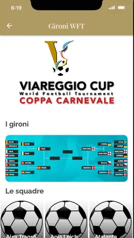 Game screenshot Viareggio Cup apk