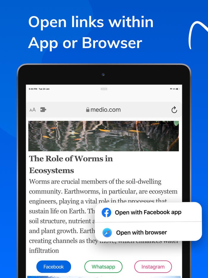 Link Opener - Open in App