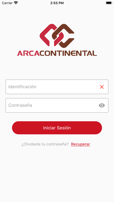 ACE Seguridad Screenshot