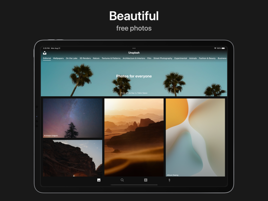 Unsplash iPad app afbeelding 1