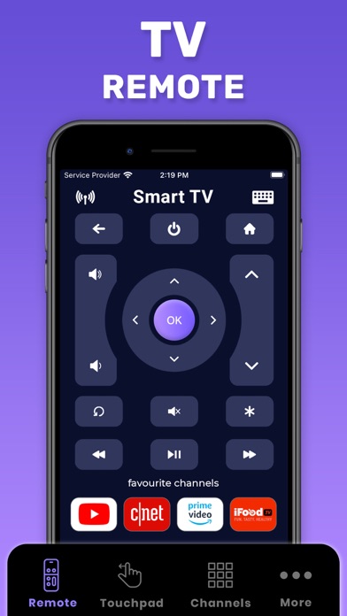 Universal TV Remote® Screenshot