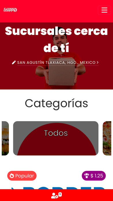 Snappy Delivery Screenshot