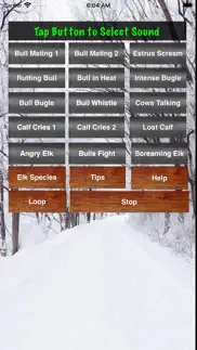 elk bull & cow hunting calls iphone screenshot 1