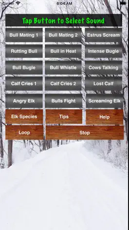 Game screenshot Elk Bull & Cow Hunting Calls mod apk