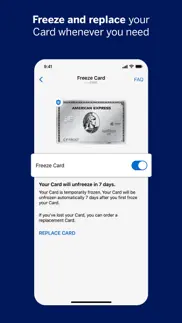 amex iphone screenshot 3