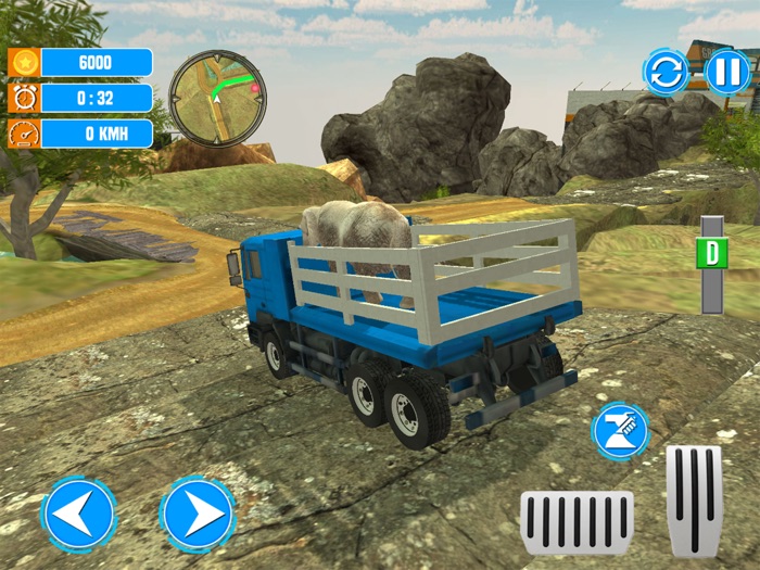 Animals Rescue Truck Transport