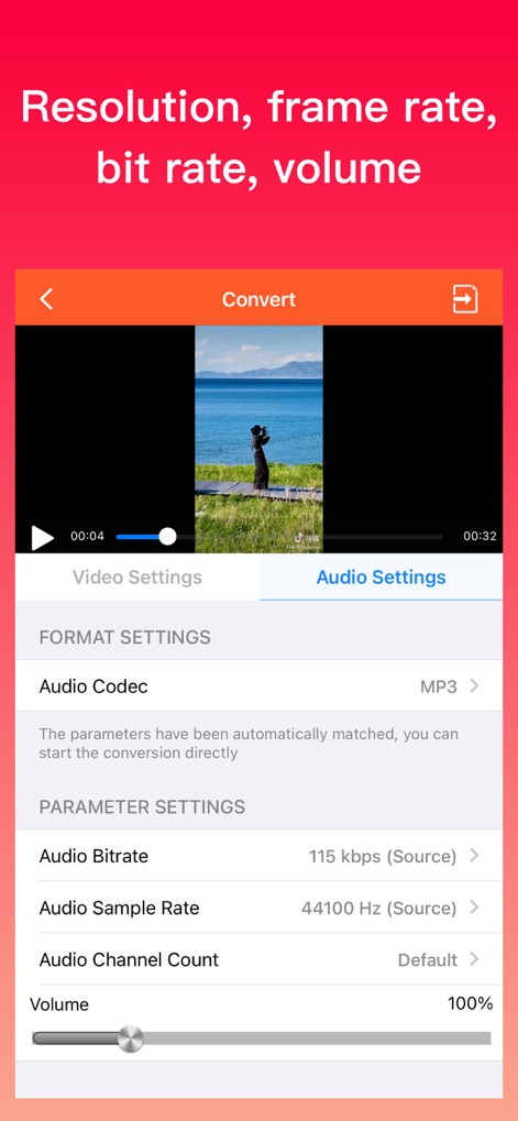 Video Converter - mp4 to mp3 - Customize audio output settings by selecting specific 'Audio Codecs' and adjusting the 'Volume' to perfectly match your project requirements.