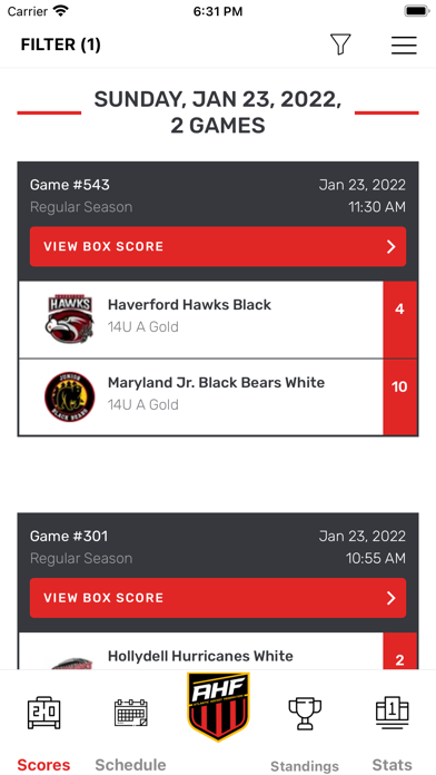 Atlantic Hockey Federation Screenshot