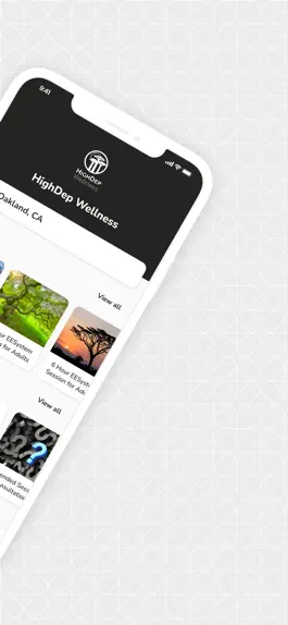 Game screenshot HighDep Wellness apk